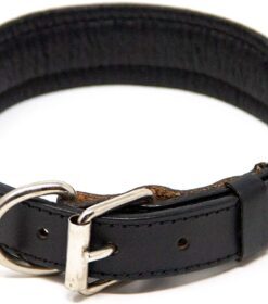 Dog Leather Collar
