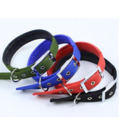 Dog Soft Collar with Buckle