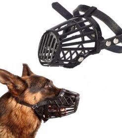 Muzzle Plastic Imp For Dogs