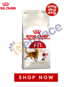 Royal Canin FIT 32 Adult Cat Food