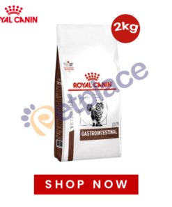 Royal Canin Gastrointestinal Adult Cat Food 2 KG