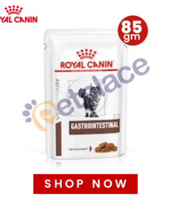 Royal Canin Gastrointestinal Cat Jelly