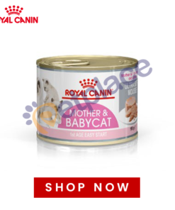 Royal Canin Mother & Babycat Mousse Tin
