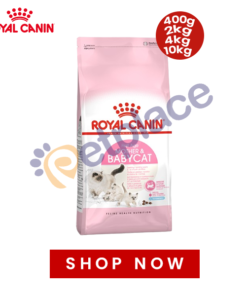 Royal Canin Mother and Baby Cat Food