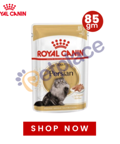 Royal Canin Persian Adult Cat Jelly