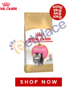 Royal Canin Persian Kitten Food