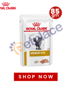 Royal Canin Urinary S/O Cat Jelly