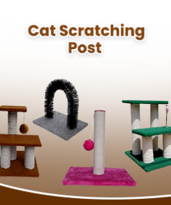 Cat Scratching Posts