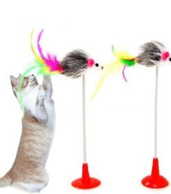Cat Spring Toy