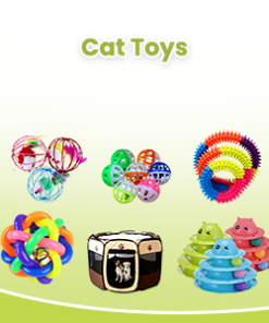 Cat Toys