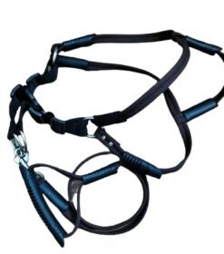 Dog Harness with Leash Large
