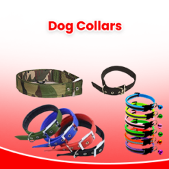 Dog Collars