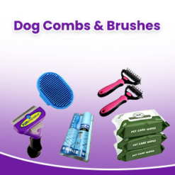 Dog Combs & Brushes