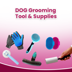 Dog Grooming Tools