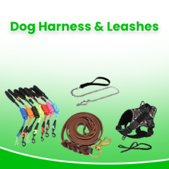 Dog Harness and Leashes