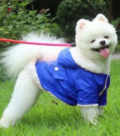 Dogs and Cats Jackets for Winter Windproof