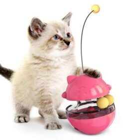 Interesting Cat Tracks Spinning Ball Toys