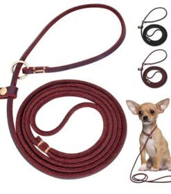 Leather Choke Leash