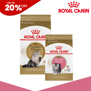 Royal Canin Cat Food