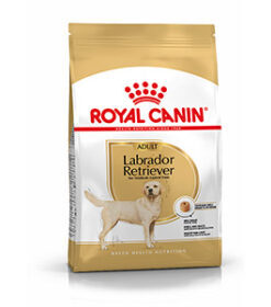 Royal Canin Labrador Retriever Adult Dog Food