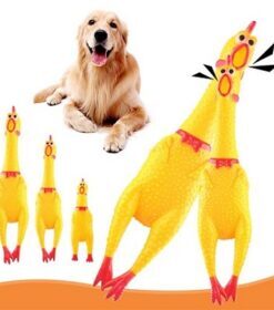 Squawking Hen Toy For Dogs