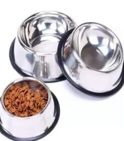 Stainless Steel Dog Feeding Bowl