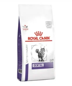 Royal Canin Dental Care Dry Cat Food – 1.5KG